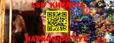 ECSTASY Новодвинск