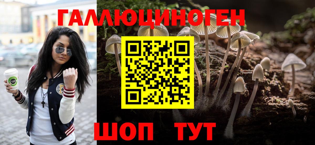 Галлюциногенные грибы GOLDEN TEACHER  Вход с VPN  Аксай 